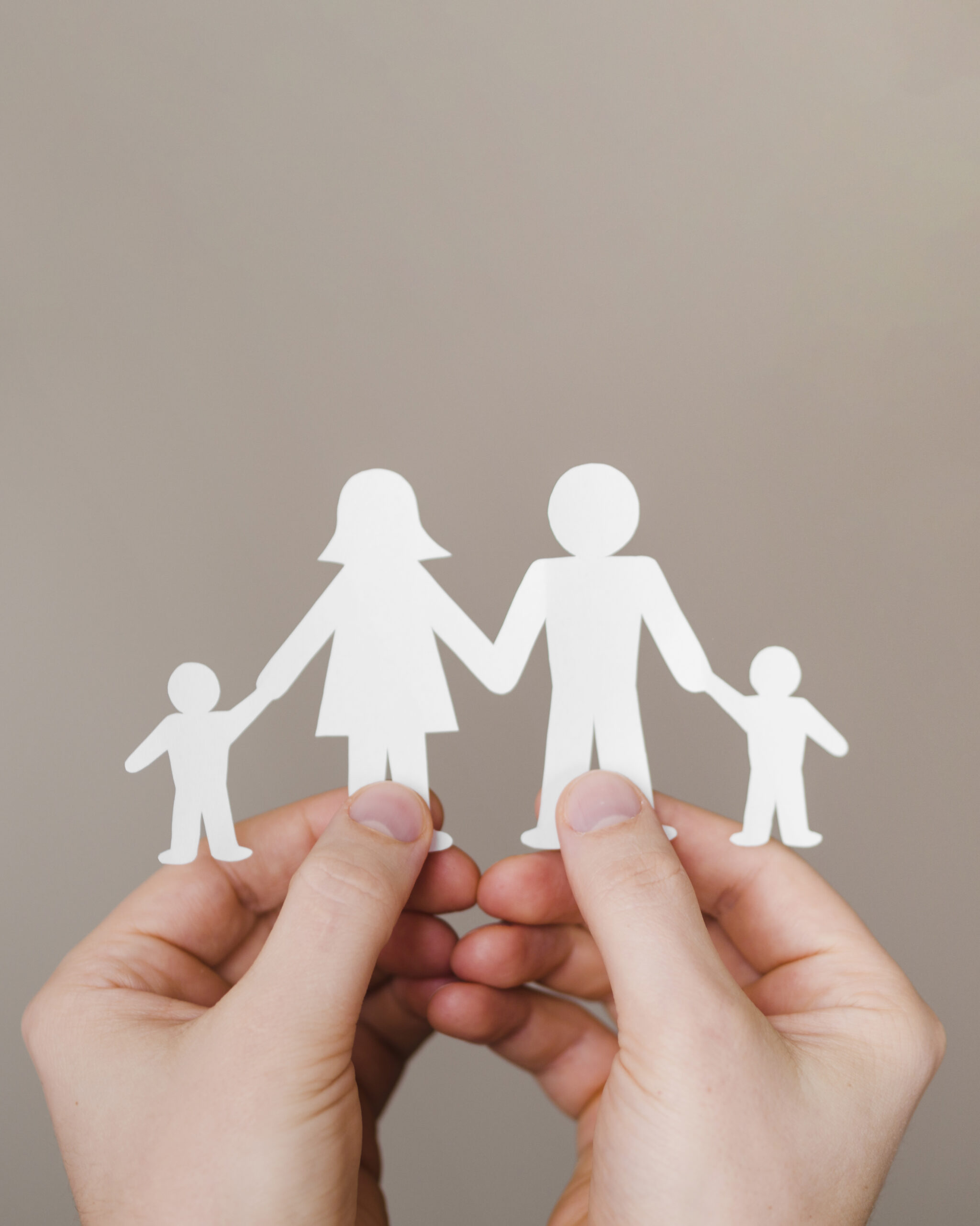 Sistemas Familiares : Como eles funcionam