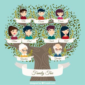 O bem-estar de todo o sistema