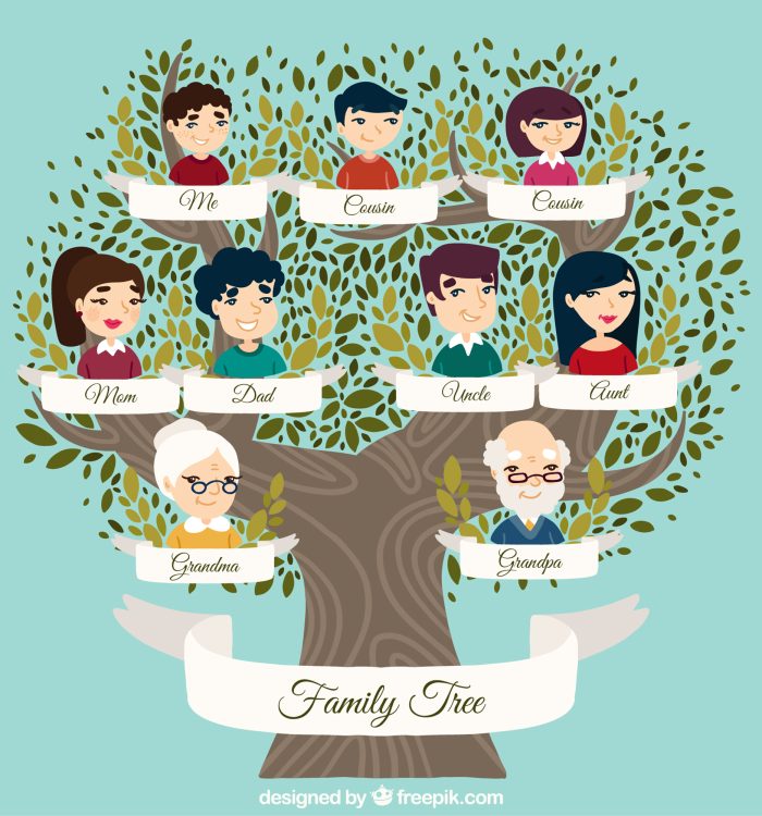 O bem-estar de todo o sistema