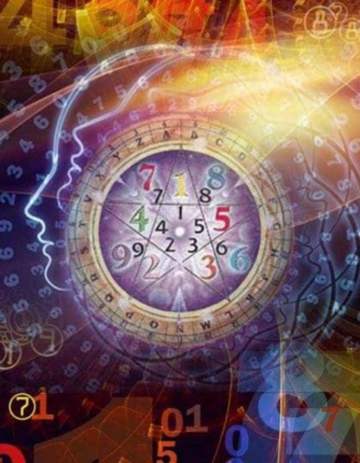 122623201908145d54281f0e4c2