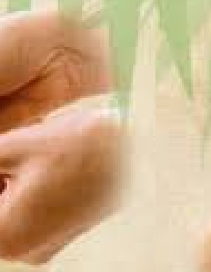 REFLEXOLOGIA MÃOS E PÉS