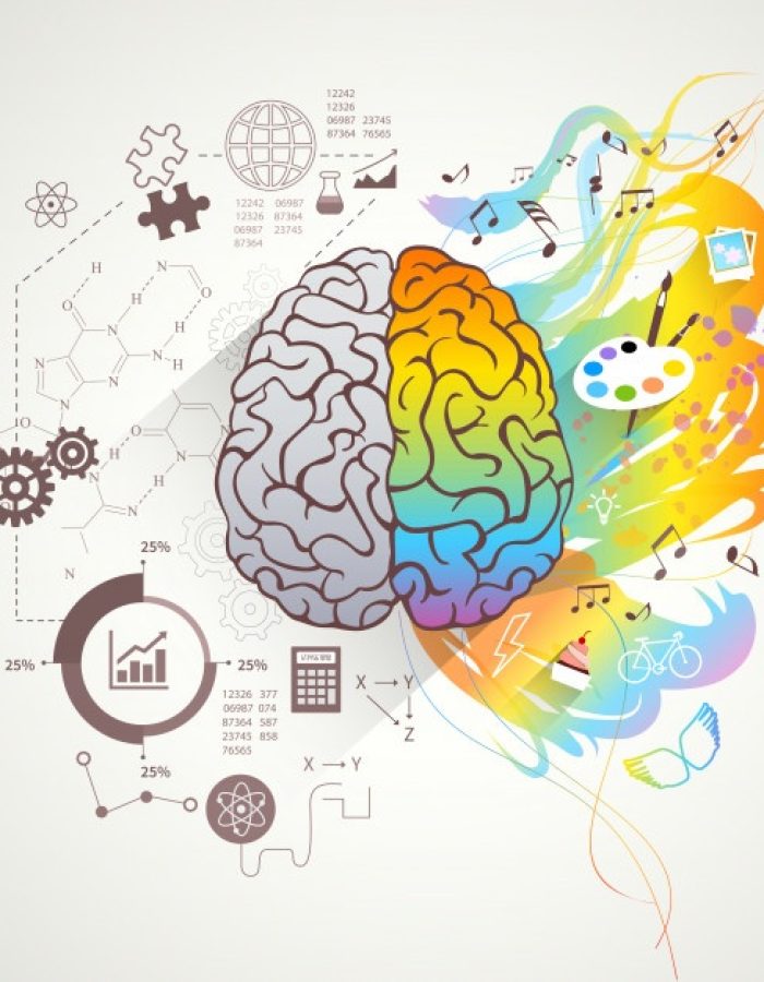 conceito-de-cerebro-direito-esquerdo_1284-6617