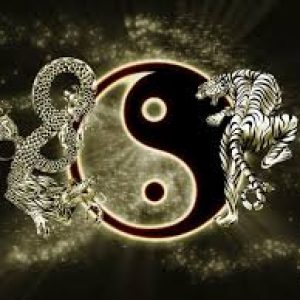 A ARTE SAGRADA DA MEDICINA TRADICIONAL CHINESA