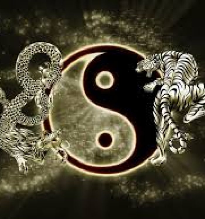 A ARTE SAGRADA DA MEDICINA TRADICIONAL CHINESA