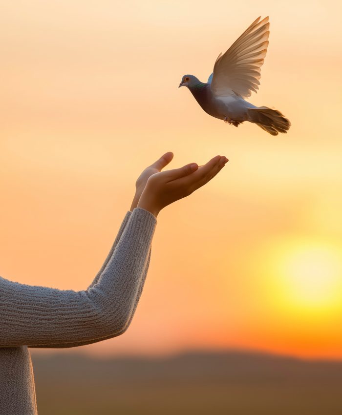 A woman is holding a bird in her hands. The bird is white and flying in the sky