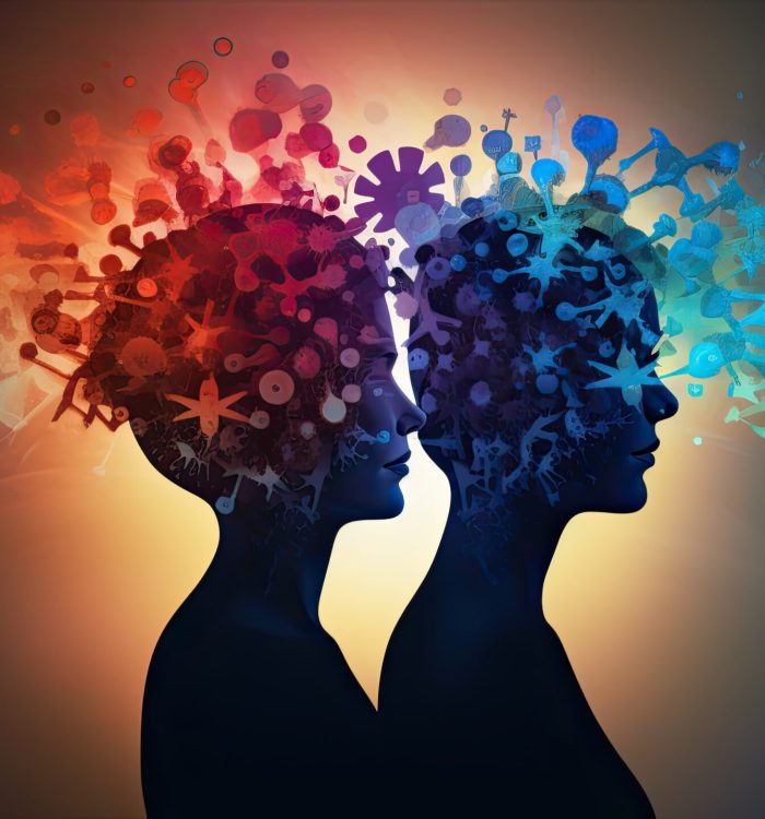 Abstract brain shapes representing the rational and irrational thinking of two individuals