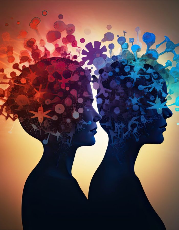 Abstract brain shapes representing the rational and irrational thinking of two individuals