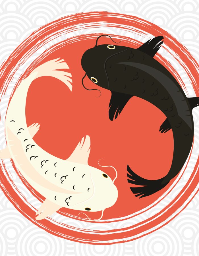 white and black koi fishes in circles