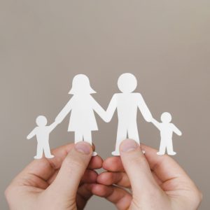 Sistemas Familiares : Como eles funcionam