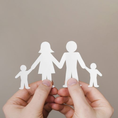 Sistemas Familiares : Como eles funcionam