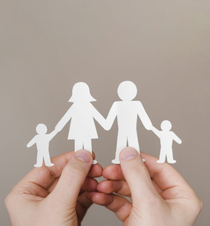 Sistemas Familiares : Como eles funcionam